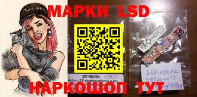 МДПВ Новокубанск