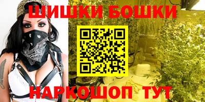 МДПВ Новокубанск