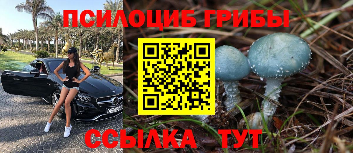 Псилоцибиновые грибы прущие грибы Томск