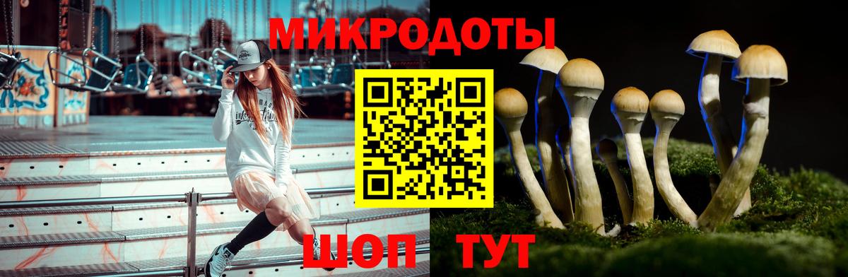 Галлюциногенные грибы GOLDEN TEACHER  Вход с VPN  Томск 